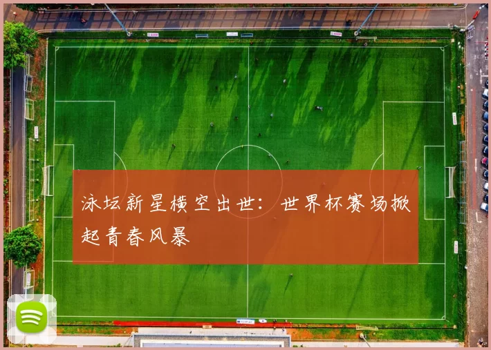 泳坛新星横空出世：世界杯赛场掀起青春风暴