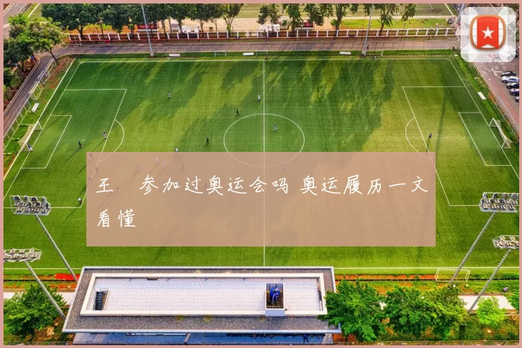 王濛参加过奥运会吗 奥运履历一文看懂