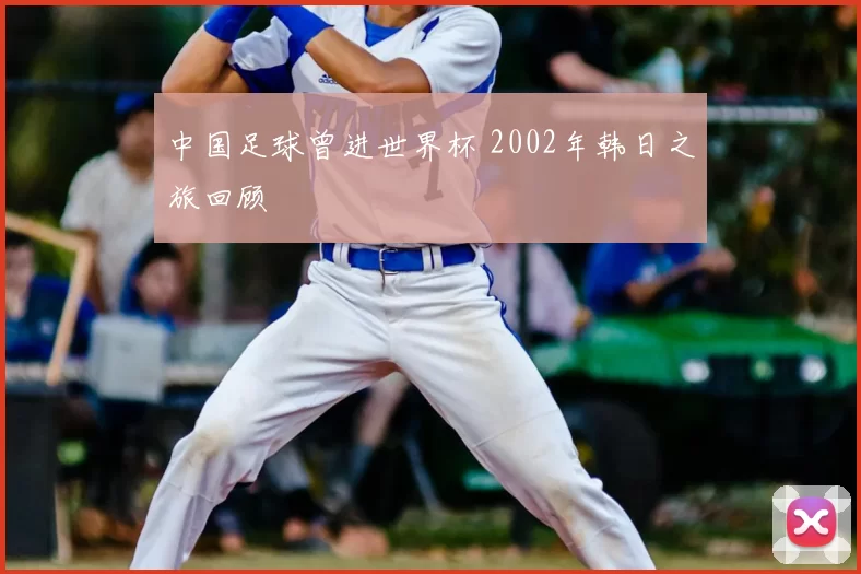 中国足球曾进世界杯 2002年韩日之旅回顾
