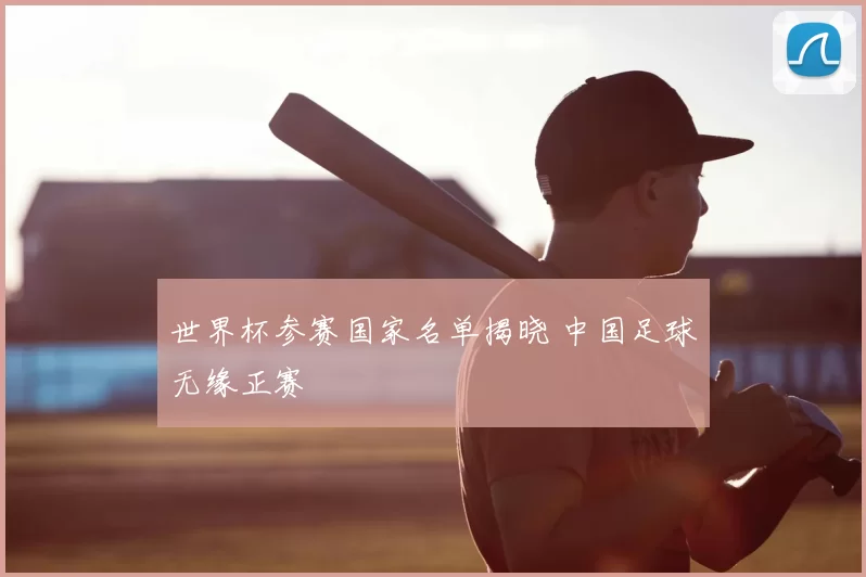 世界杯参赛国家名单揭晓 中国足球无缘正赛