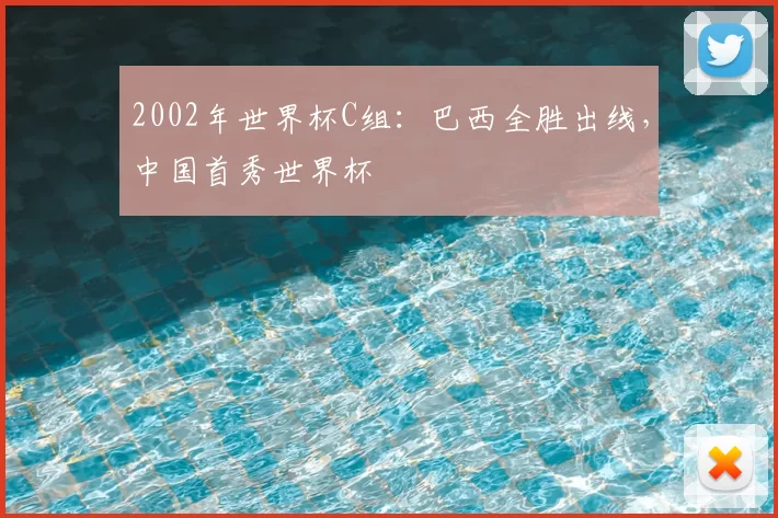 2002年世界杯C组：巴西全胜出线，中国首秀世界杯