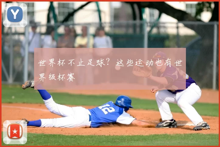 世界杯不止足球?这些运动也有世界级杯赛