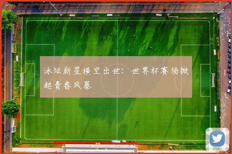 泳坛新星横空出世：世界杯赛场掀起青春风暴