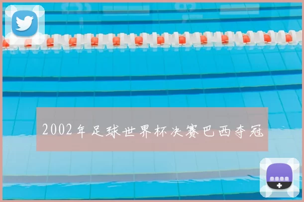 2002年足球世界杯决赛巴西夺冠