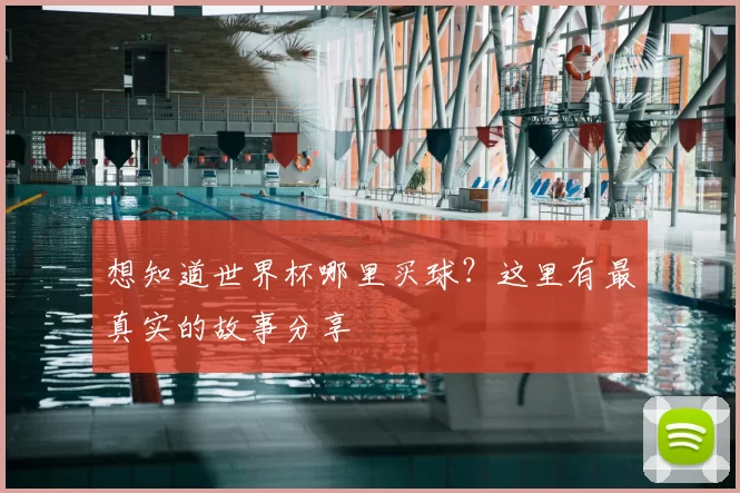 想知道世界杯哪里买球？这里有最真实的故事分享