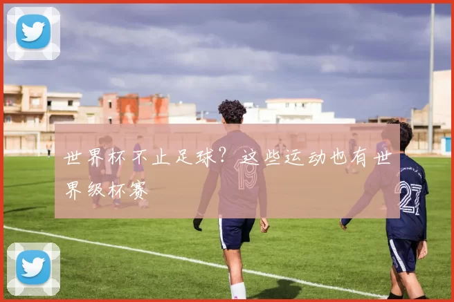 世界杯不止足球？这些运动也有世界级杯赛