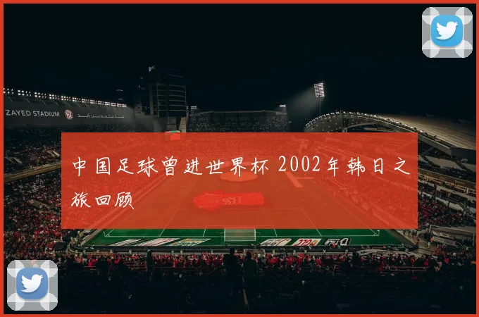 中国足球曾进世界杯 2002年韩日之旅回顾