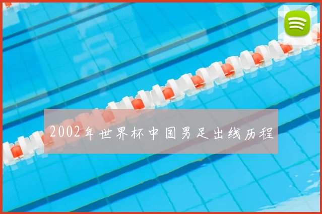 2002年世界杯中国男足出线历程