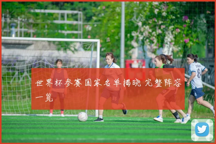 世界杯参赛国家名单揭晓 完整阵容一览