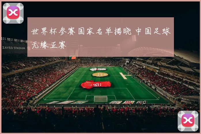 世界杯参赛国家名单揭晓 中国足球无缘正赛